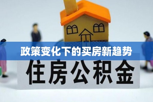 助手政策变化下的买房新趋势