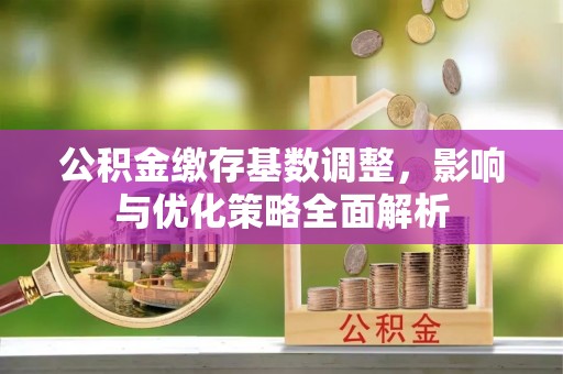 助手公积金缴存基数调整，影响与优化策略全面解析