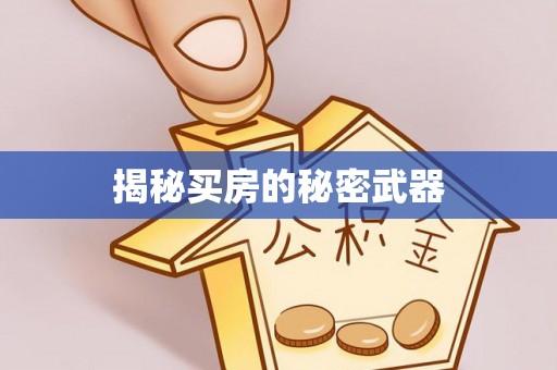 助手揭秘买房的秘密武器