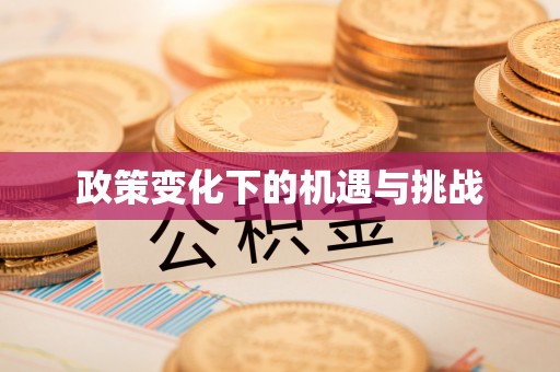 助手政策变化下的机遇与挑战