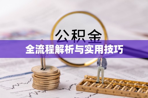 助手全流程解析与实用技巧