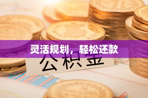 助手灵活规划，轻松还款