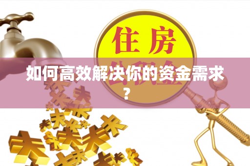 助手如何高效解决你的资金需求？