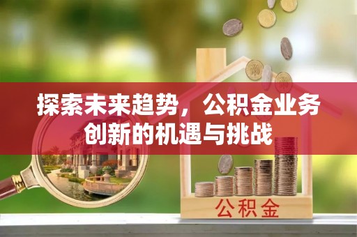 助手探索未来趋势，公积金业务创新的机遇与挑战