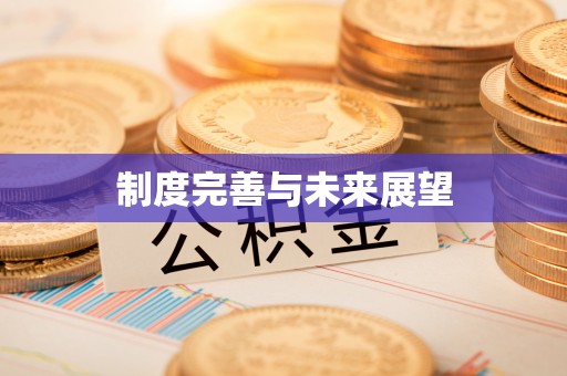 助手制度完善与未来展望