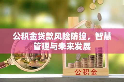 助手公积金贷款风险防控，智慧管理与未来发展