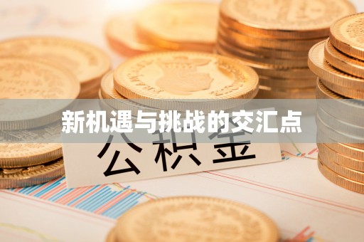 助手新机遇与挑战的交汇点