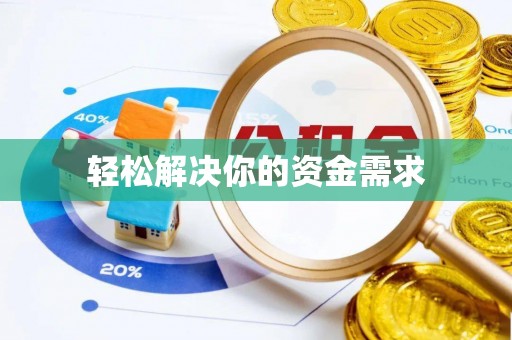 助手轻松解决你的资金需求