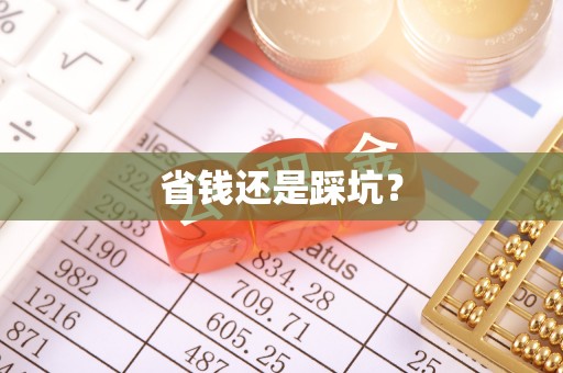 助手省钱还是踩坑？