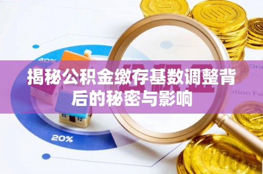 助手揭秘公积金缴存基数调整背后的秘密与影响