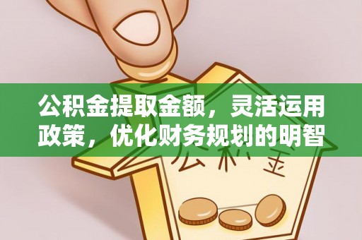 助手公积金提取金额，灵活运用政策，优化财务规划的明智选择
