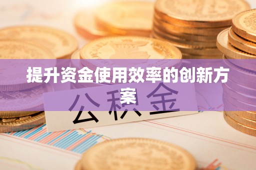 助手提升资金使用效率的创新方案