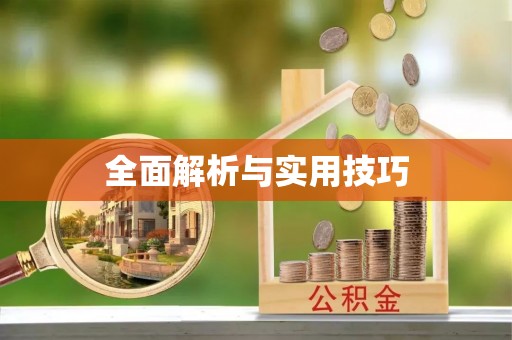 助手全面解析与实用技巧