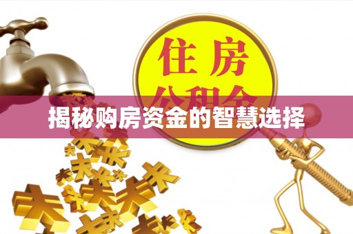 助手揭秘购房资金的智慧选择