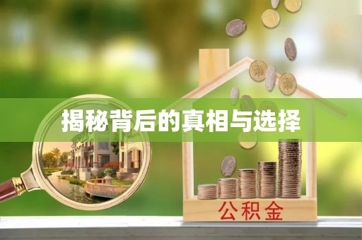助手揭秘背后的真相与选择