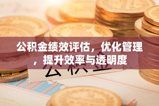 助手公积金绩效评估，优化管理，提升效率与透明度