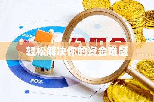 助手轻松解决你的资金难题