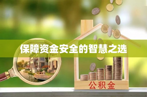 助手保障资金安全的智慧之选