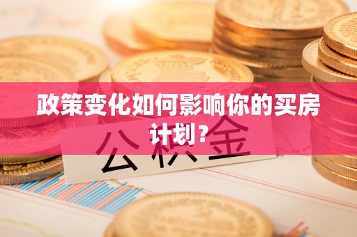 助手政策变化如何影响你的买房计划？