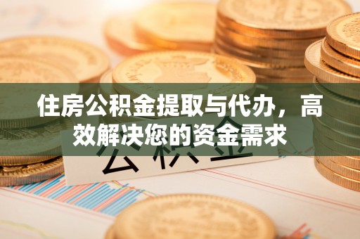 助手住房公积金提取与代办，高效解决您的资金需求