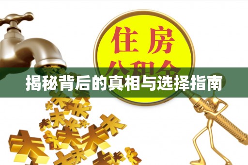 助手揭秘背后的真相与选择指南