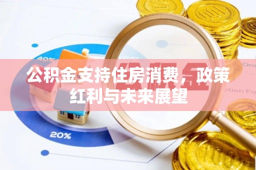 助手公积金支持住房消费，政策红利与未来展望