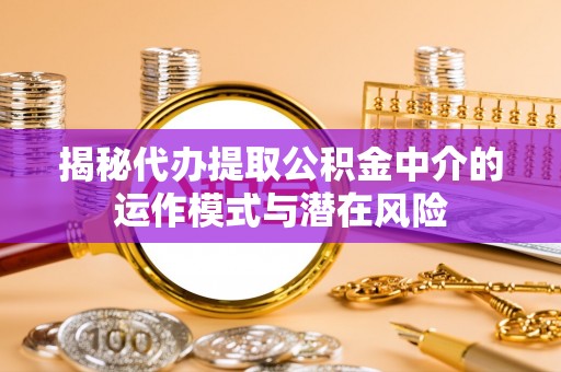 助手揭秘代办提取公积金中介的运作模式与潜在风险