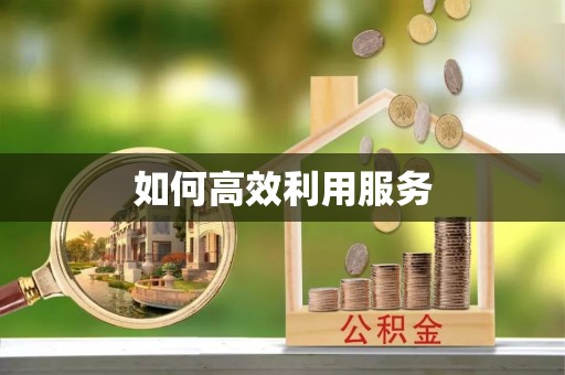 助手如何高效利用服务
