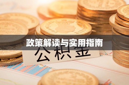 助手政策解读与实用指南