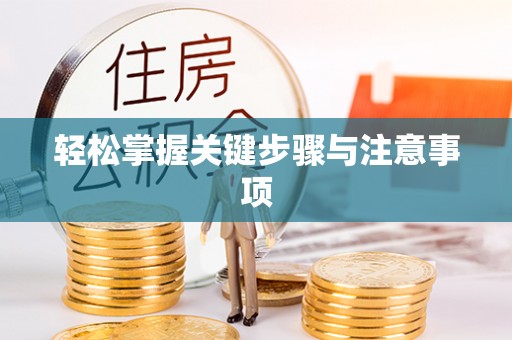 助手轻松掌握关键步骤与注意事项