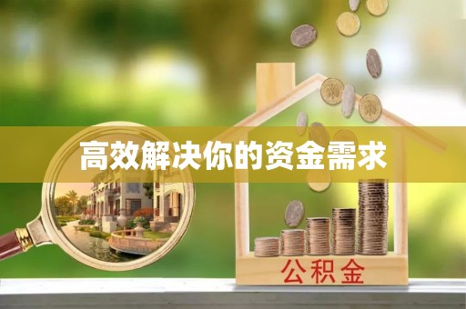 助手高效解决你的资金需求