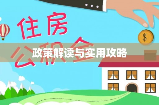 助手政策解读与实用攻略