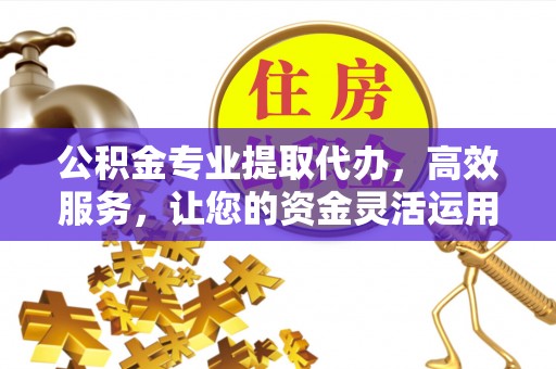 助手公积金专业提取代办，高效服务，让您的资金灵活运用