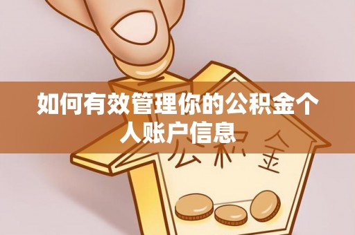 助手如何有效管理你的公积金个人账户信息