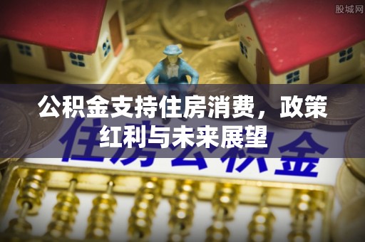 助手公积金支持住房消费，政策红利与未来展望