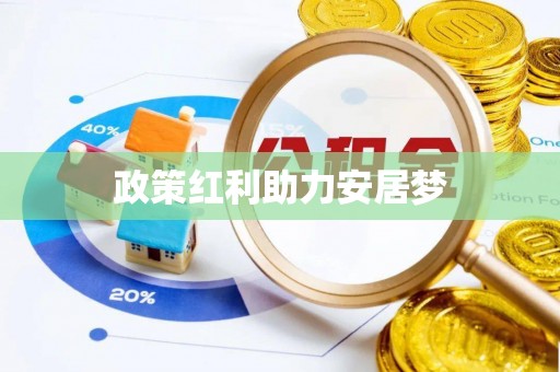 助手政策红利助力安居梦