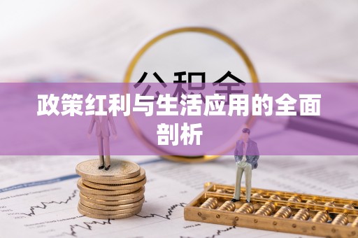 助手政策红利与生活应用的全面剖析