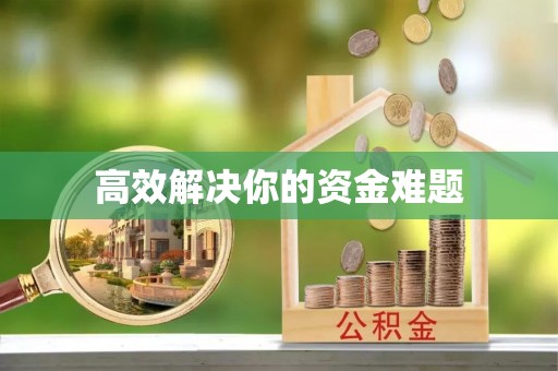 助手高效解决你的资金难题