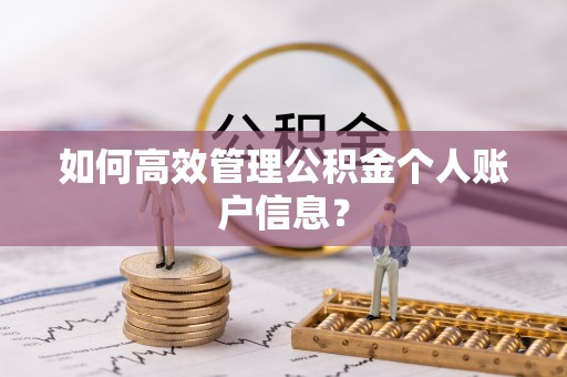 助手如何高效管理公积金个人账户信息？