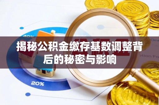 助手揭秘公积金缴存基数调整背后的秘密与影响