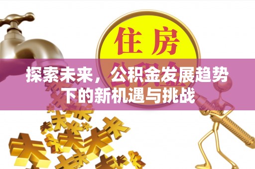 助手探索未来，公积金发展趋势下的新机遇与挑战