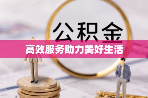 助手高效服务助力美好生活