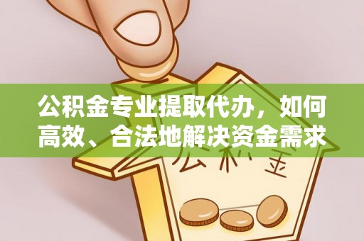助手公积金专业提取代办，如何高效、合法地解决资金需求？