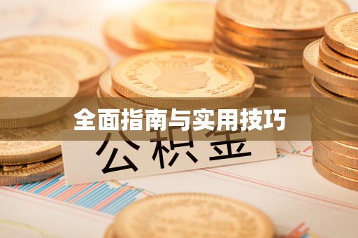 助手全面指南与实用技巧