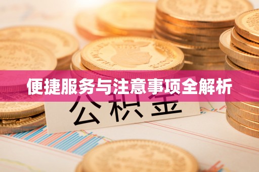 助手便捷服务与注意事项全解析