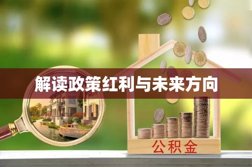 助手解读政策红利与未来方向