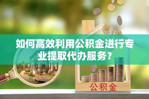 助手如何高效利用公积金进行专业提取代办服务？