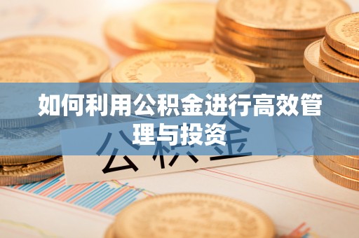 助手如何利用公积金进行高效管理与投资