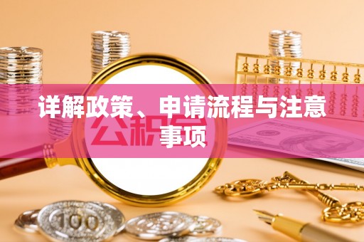 助手详解政策、申请流程与注意事项