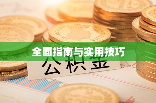 助手全面指南与实用技巧